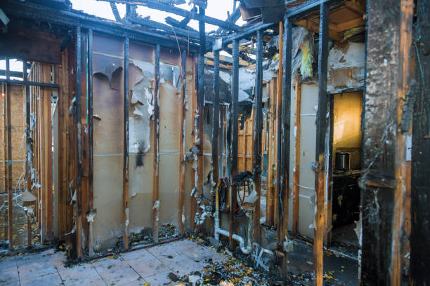 Professional Emergency Fire Cleanup technician working in North Port, FL